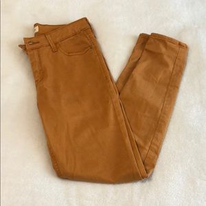 Mustard Skinny Pants